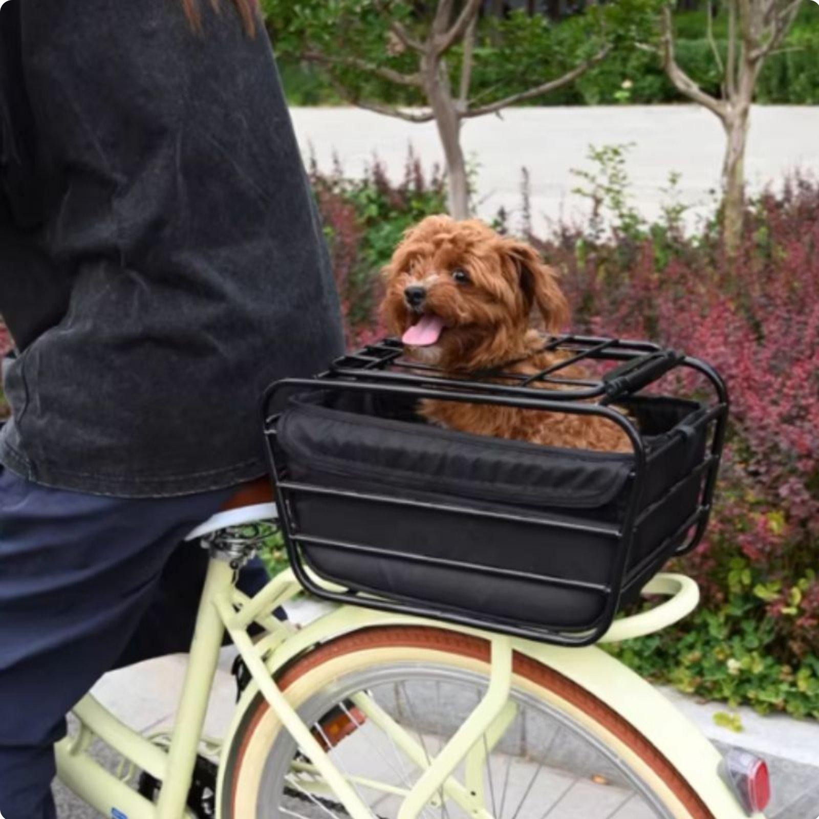 Mountain Biking With Dog - Bicycle Basket With Dog Strap Mountain
