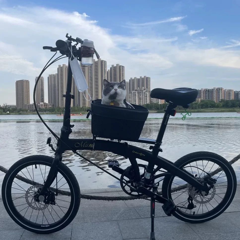 Bicycle Pet Basket Mountain Ro - Mountain Biking With Dog review and price