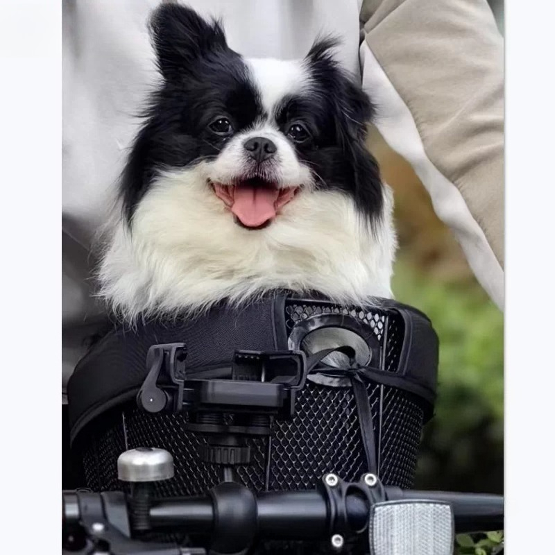 Foldable Bicycle Dog Basket,Pe - Mountain Biking With Dog review and price