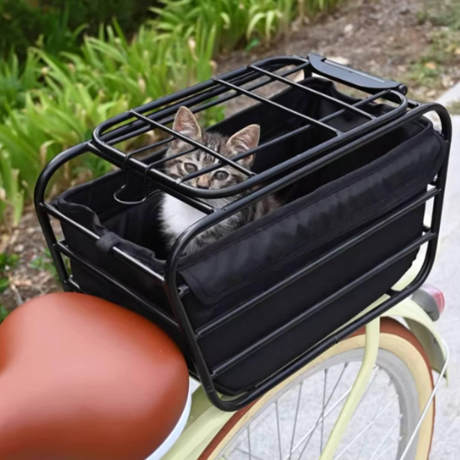 Bicycle Basket With Dog Strap  - Mountain Biking With Dog review and price