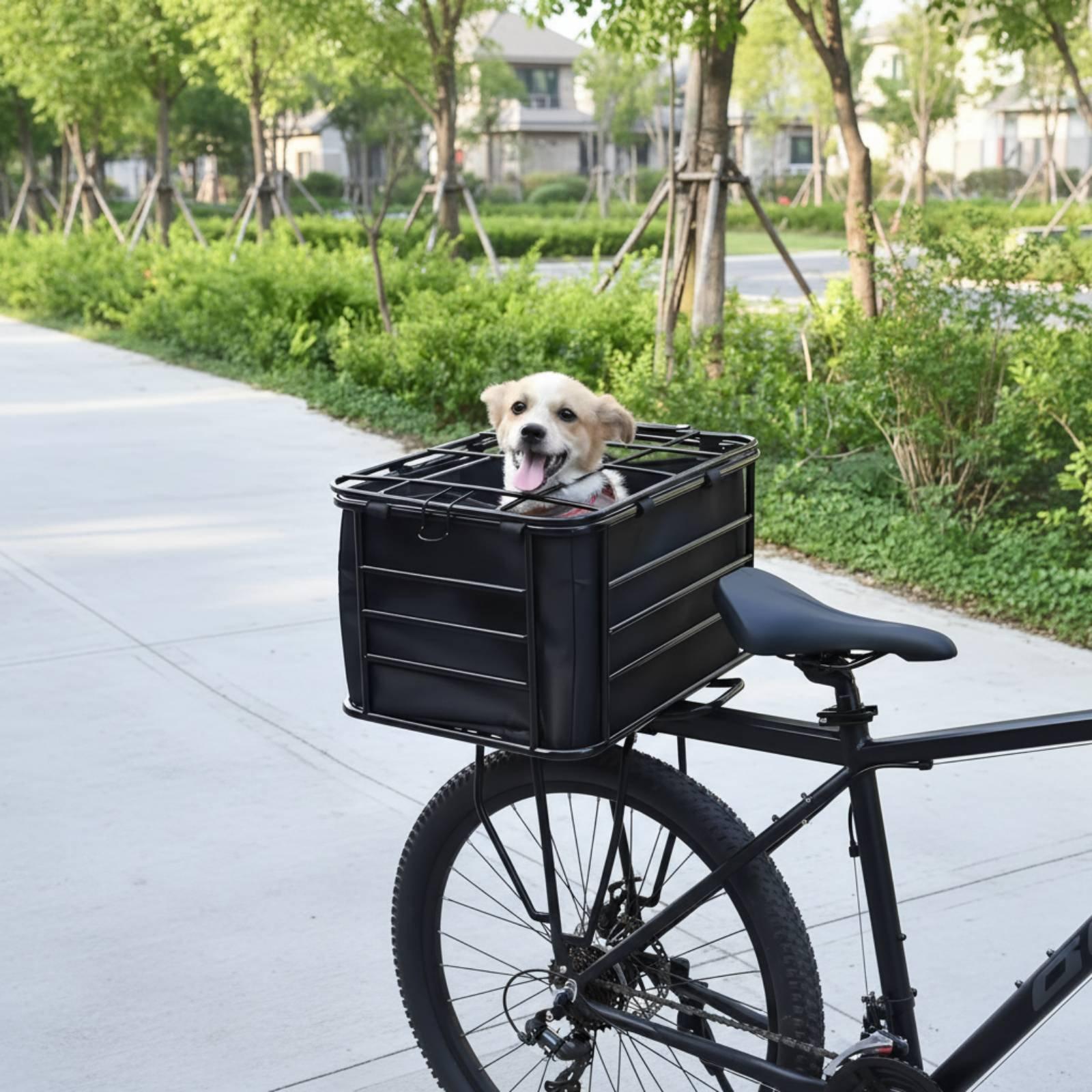 Bicycle Basket With Dog Strap  - Mountain Biking With Dog review and price
