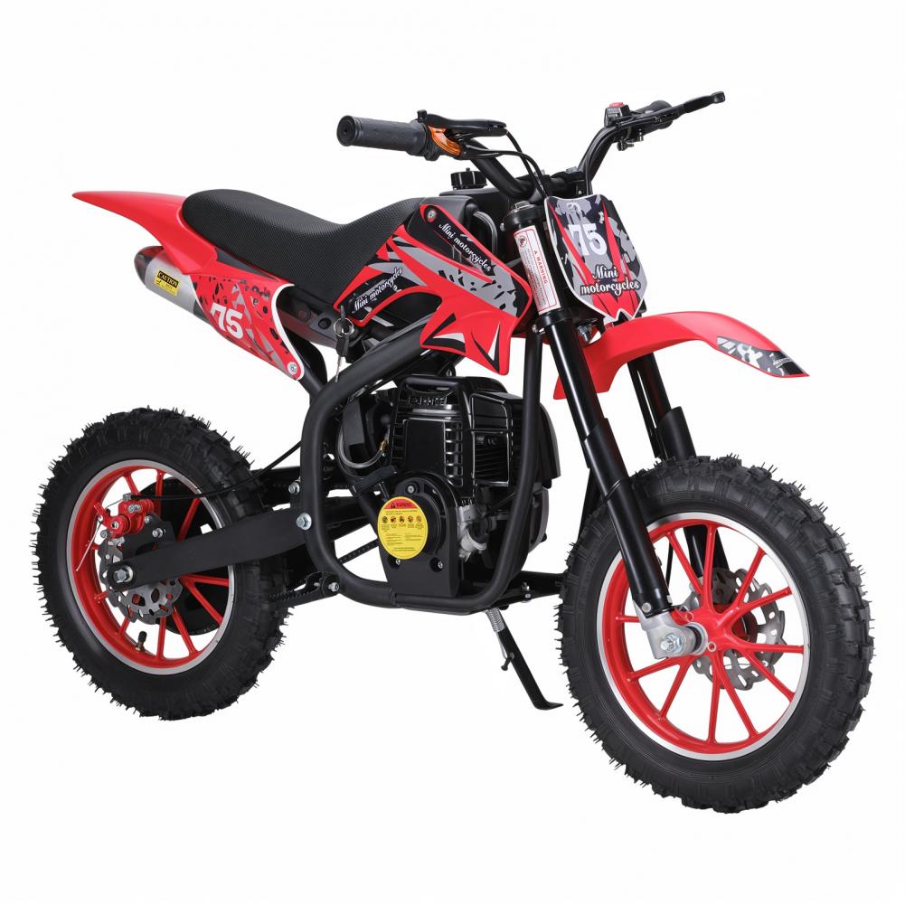 49cc 4-Stroke Kids Dirt Bike,  - Mountain Biking For Kids review and price