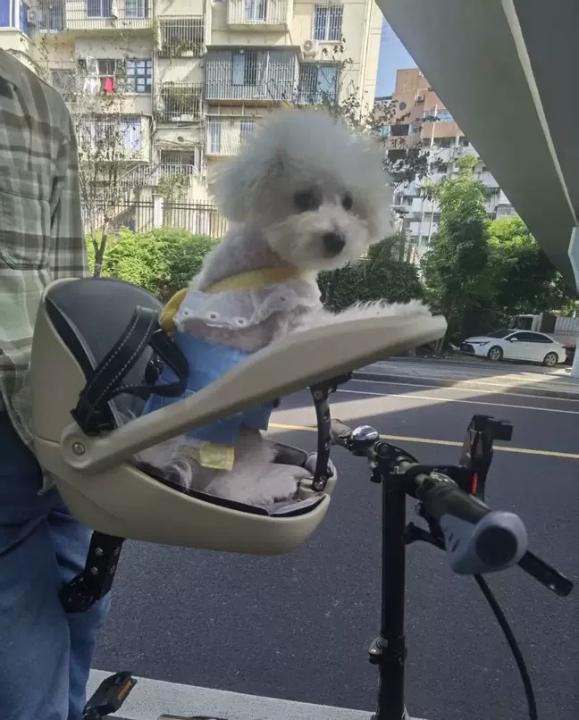 Suitable for folding bicycles, - Mountain Biking With Dog review and price
