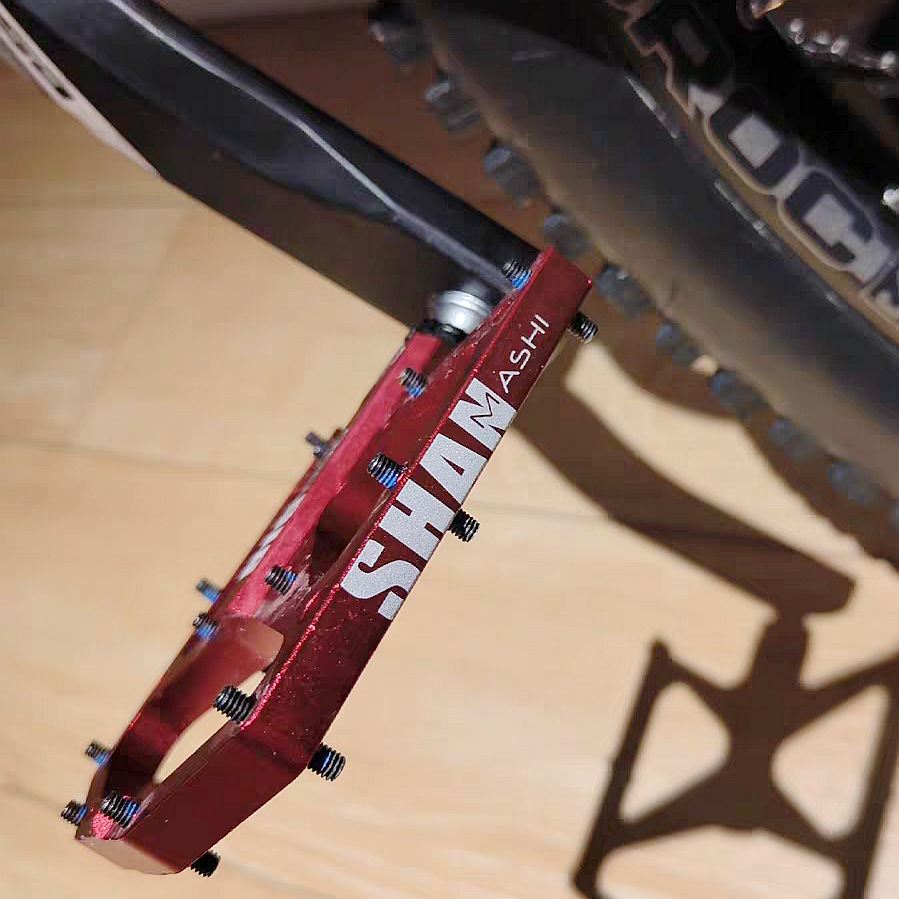 Big dog pedals mountain bike 3 - Mountain Biking With Dog review and price